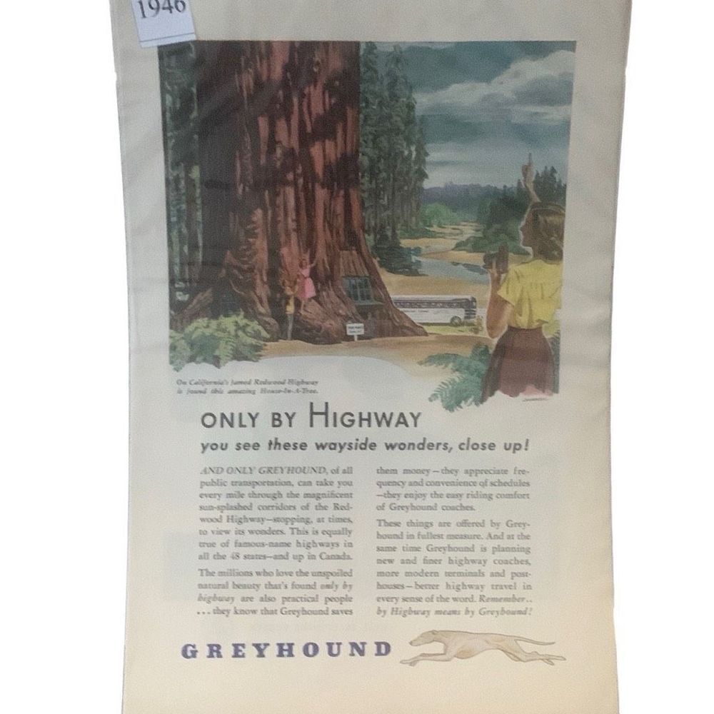 Vintage 1946 Greyhound You see These Wayside Wonders Ad Advertisement